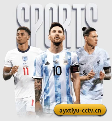 国际化进程 | ayx.com